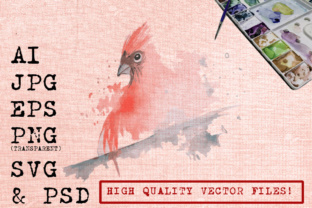 Angry Rooster Watercolor Illustrations