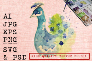 Blue Peacock Watercolor Illustrations