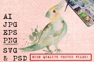 Cockatoo Bird Watercolor Illustrations Review
