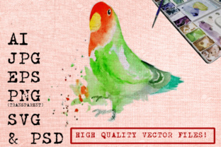 Cute Parrot Watercolor Illustrations Review
