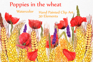 Floral Watercolor Clipart & Illustrations