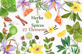 Herbs & Spices Watercolor Illustrations