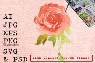 Rose Watercolor Illustrations for Blogs