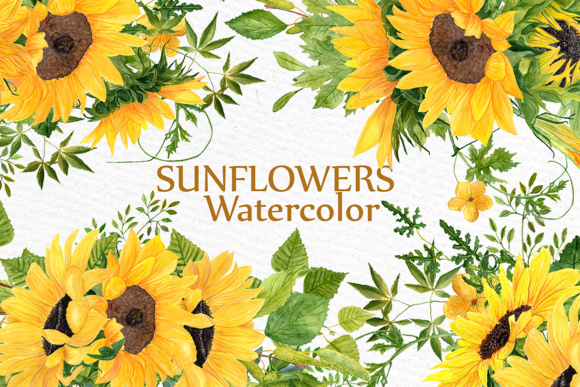 Sunflower Wreath Illustrations for Local Brands