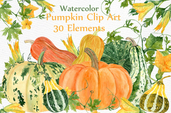 Watercolor Clipart & Illustrations Review