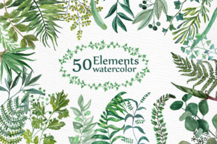 Watercolor Ferns Clipart: A Designer Review