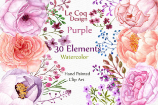 Watercolor Peonies Flowers Clipart & Illustrations
