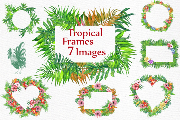 Watercolor Tropic Frames: Tropical Illustrations Review