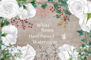 Watercolor White Roses Clipart & Illustrations