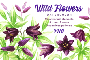 Wild Flowers Watercolor Set: Illustrations Review